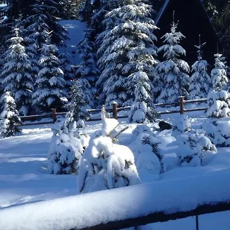 Megara Vlasic アパート