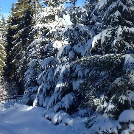 Megara Vlasic Sisava