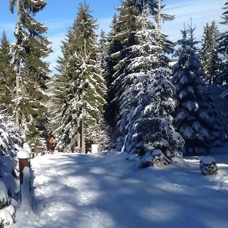 Megara Vlasic アパート Šišava