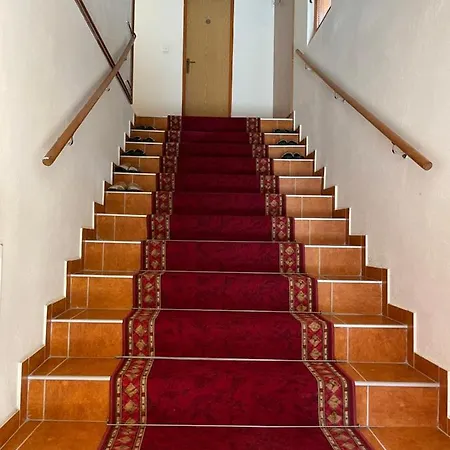 Megara Vlasic Sisava