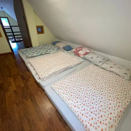 Megara Vlasic Sisava