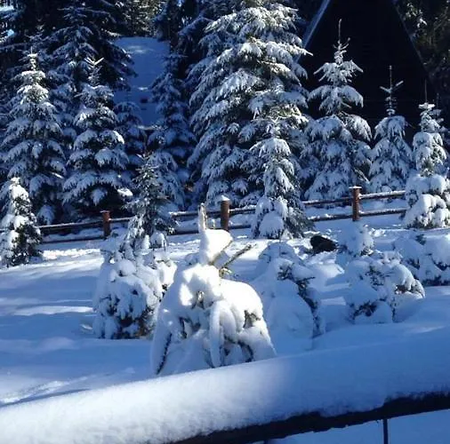 Megara Vlasic アパート