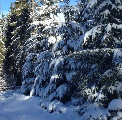 Megara Vlasic Šišava