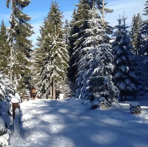 Megara Vlasic アパート Šišava